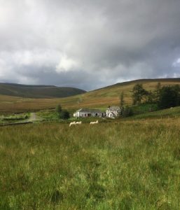 Bed And Breakfast – Bed and Breakfast in Thornhill