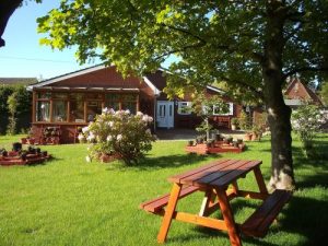Read more about the article The Trees – Apartment in Verwood