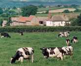 Read more about the article Rydon Farm – Bed and Breakfast in Woodbury