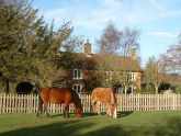 Read more about the article Bramshaw Forge – Bed and Breakfast in Bramshaw