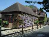 Read more about the article Wisteria House – Bed and Breakfast in Fareham