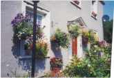 Read more about the article Lilac Cottage B&B – Bed and Breakfast in Gurney Slade