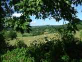 Hazelcott Bed & Breakfast – Bed and Breakfast in Manaton, Dartmoor