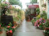 Read more about the article The Crowndale – Bed and Breakfast in Torquay