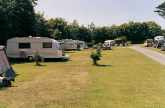 Read more about the article Tregarton Park – Camping Site in Nr. Mevagissey