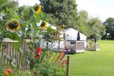 Read more about the article Luxury Cornish Yurts – Camping Site in Merrymeet