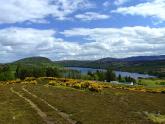 Read more about the article The Crofthouse Caravan – Camping Site in Ardgay