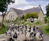 Read more about the article Yew Tree Chapel – Guest House in Slaggyford