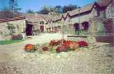 Read more about the article Natureswatch Cottages – Holiday Cottage in Luppitt