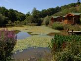 Read more about the article Valley View Lakes And Lodges – Lodge in Bideford