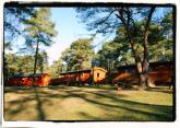 Read more about the article Avon Tyrrell Activity Centre – Lodge in Bransgore